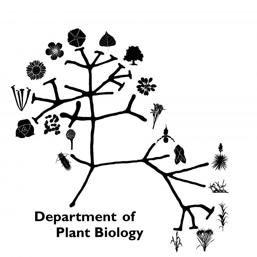 Plant Biology Diversity Equity and Inclusion Image
