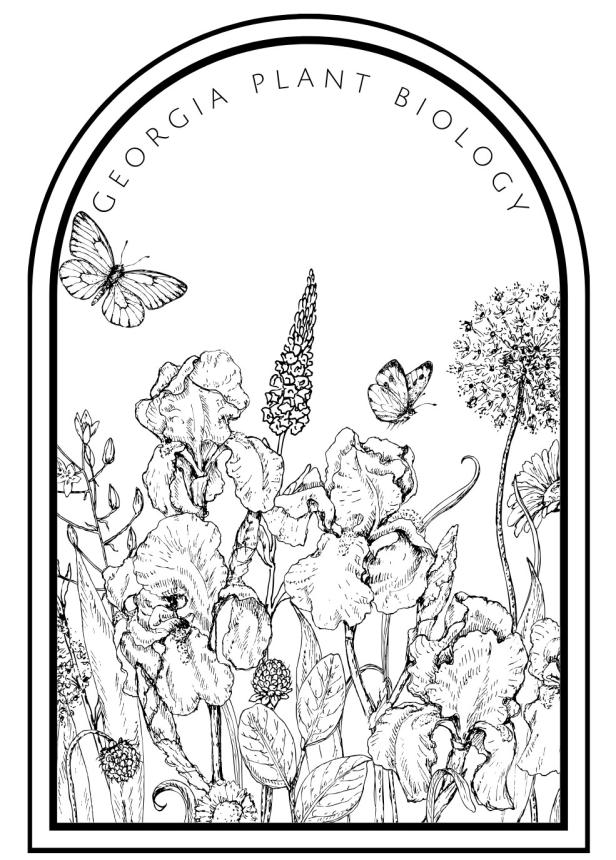 iris picture 