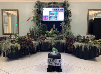 A photo of the lobby with plants