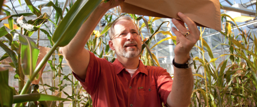 Professor is looking at plants in a green house