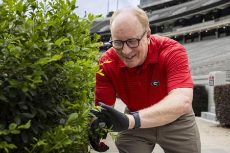 Jim clipping hedges