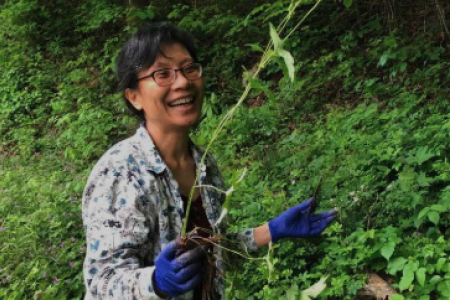 shumei chang